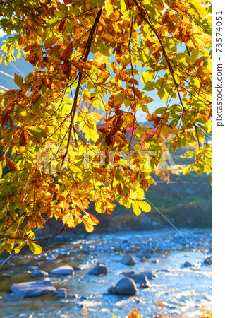 亞瑟水上樂園，秋天的落葉，秋天的景色，沿音河 73574051