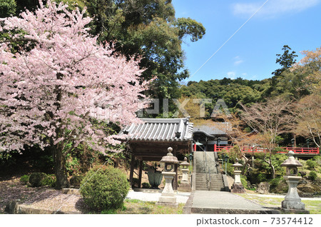 Negoro-ji Fudodo禮拜堂和櫻花 Negoro-ji Fudodo禮拜堂和櫻花 73574412