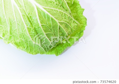 冬季新鮮蔬菜,中式蔬菜 冬季新鮮蔬菜,中式蔬菜 73574620