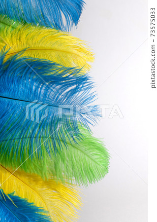 The feathers of birds are green, yellow and blue. Colors of the flag of Brazil. Headpiece for a carnival costume. The feathers of birds are green, yellow and blue. Colors of the flag of Brazil. Headpiece for a carnival costume. 73575033