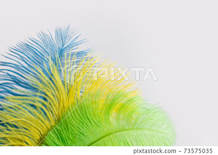 The feathers of birds are green, yellow and blue. Colors of the flag of Brazil. Headpiece for a carnival costume. The feathers of birds are green, yellow and blue. Colors of the flag of Brazil. Headpiece for a carnival costume. 73575035