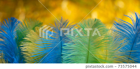 The feathers of birds are green, yellow and blue. Colors of the flag of Brazil. Headpiece for a carnival costume. The feathers of birds are green, yellow and blue. Colors of the flag of Brazil. Headpiece for a carnival costume. 73575044