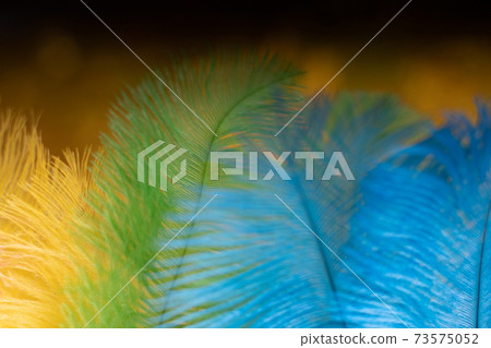 The feathers of birds are green, yellow and blue. Colors of the flag of Brazil. Headpiece for a carnival costume. The feathers of birds are green, yellow and blue. Colors of the flag of Brazil. Headpiece for a carnival costume. 73575052