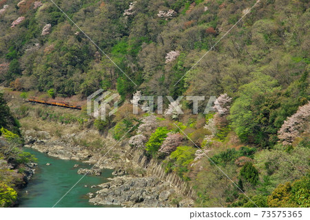 京都嵐山風景 無軌電車 73575365