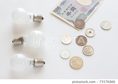 Light bulb and money 73576866
