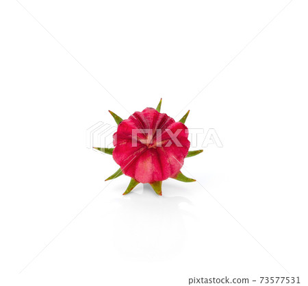 Hibiscus sabdariffa or roselle fruits isolated on white background 73577531