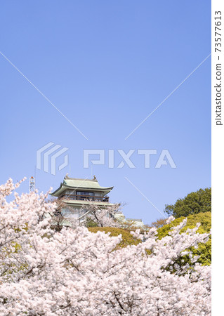 Komaki and Komaki castle and cherry blossom view Komaki and Komaki castle and cherry blossom view 73577613