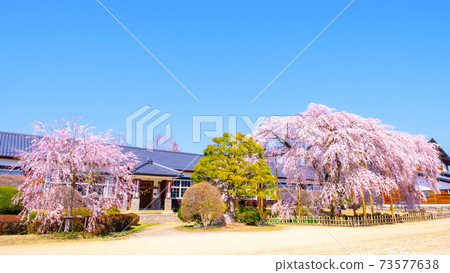 chi口原學校（春季）：長野縣飯田市 73577638