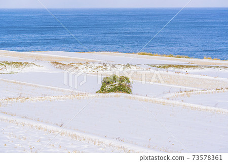 京都新井的田田(冬季) 京都新井的田田(冬季) 73578361