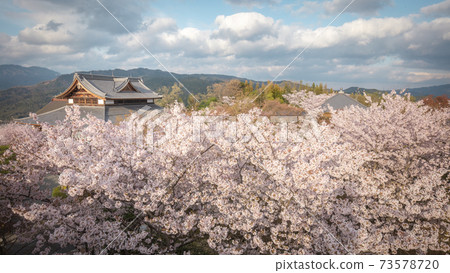 京都府幕府時代 73578720