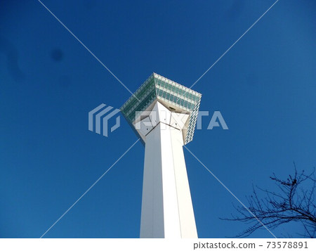 Goryokaku Tower Goryokaku Tower 73578891