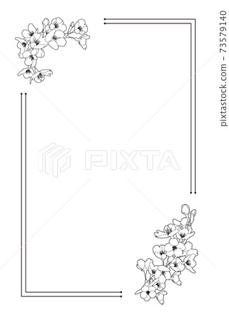 櫻花線描大正浪漫 復古日式背景素材 100 X 148毫米明信片尺寸比 插圖素材 圖庫