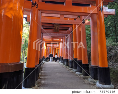 Fushimi-Inari shrine's Senbon torii Fushimi-Inari shrine's Senbon torii 73579346