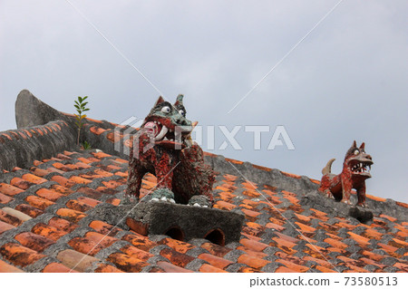 Guardian of a tropical house 73580513