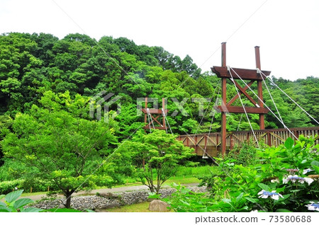 Yamato City Izumi no Mori Midorinokake Bridge, Wet Botanical Garden and Fresh Green 73580688