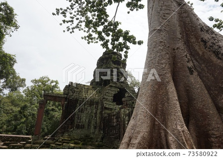 The big tree and ruins are like something out of a game The big tree and ruins are like something out of a game 73580922