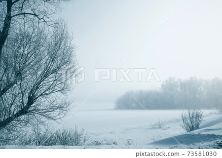 Winter, frosty landscape with white trees in a cold fog. Winter, frosty landscape with white trees in a cold fog. 73581030