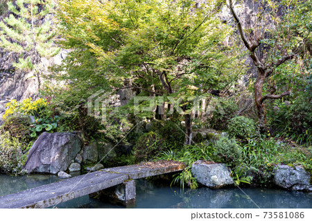 有池塘的日本庭院 有池塘的日本庭院 73581086