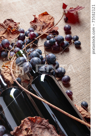 Red wine bottles and  grapes with dried up vine leaves. 73582121