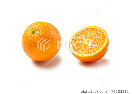 Orange Orange 73583211