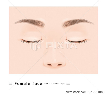 Both eyes nose eyelashes female face eyes Stock Illustration