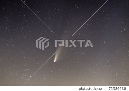 Neowise Comet and its long dust tail after dusk 73586686