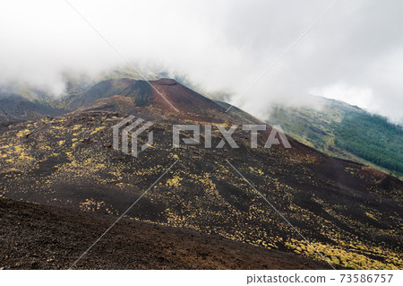 Mount Etna volcanic landscape and its typical vegetation, Sicily 73586757