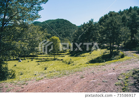 Landscape of the mountains, in Spain. A sunny summer day 73586917