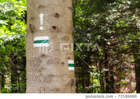 Green hiking trail. Detail of touristic marking on hiking trails. Forest navigating map. 73586990
