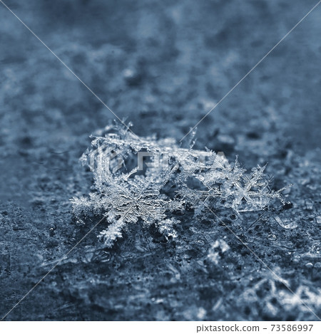 A real snowflake. Beautiful macro shot of frozen snow in winter. 73586997