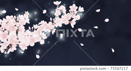 Yoshino cherry tree Yoshino cherry tree 73587217