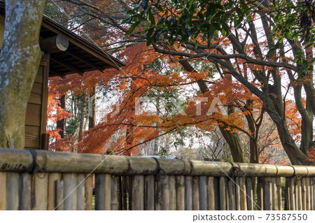 Former Iwasaki family Suehiro villa Takegaki and autumn leaves Former Iwasaki family Suehiro villa Takegaki and autumn leaves 73587550