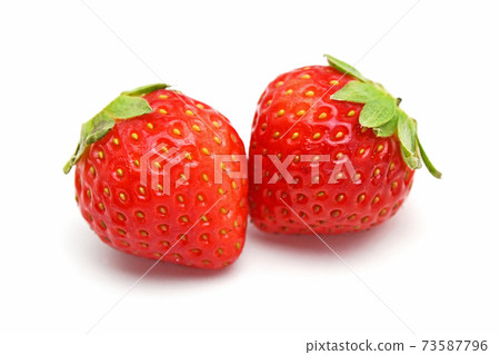 一護（錦井美里） 73587796