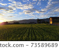 Rice fields that emerge in the sunrise 73589689
