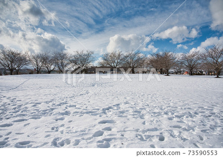 Scenery of a park with snow Scenery of a park with snow 73590553