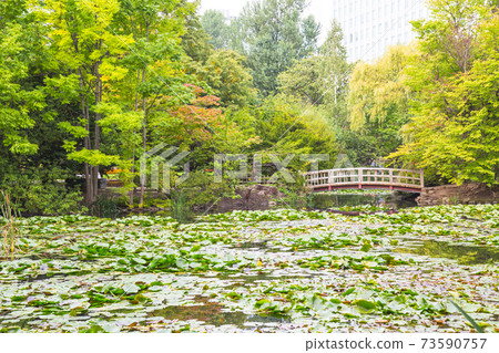 Garden view and bridge Garden view and bridge 73590757