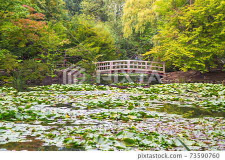 Garden view and bridge Garden view and bridge 73590760