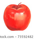 Fresh bright red apple 73592482