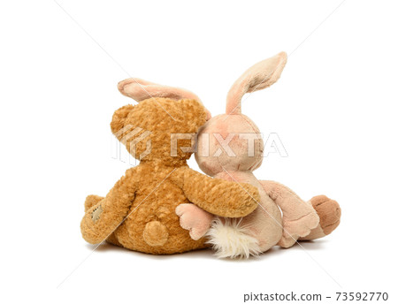 brown teddy bear and cute rabbit sit on white isolated background 73592770