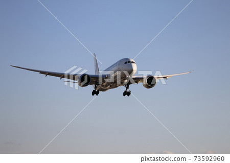 Japan Airlines JAL landing at dusk from the front (Senri River bank at Itami Airport) 73592960