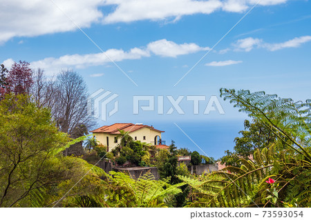 View to a house in Funchal on the island Madeira, Portugal 73593054