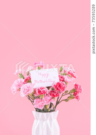 Yasuno Kaoru, Mother's Day Carnation gift Mothers Day Yasuno Kaoru, Mother's Day Carnation gift Mothers Day 73593289