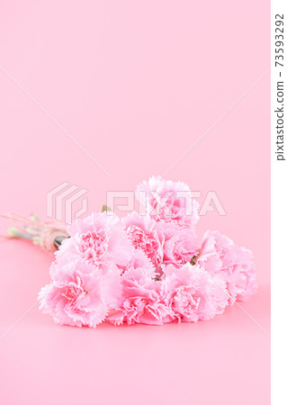 Yasuno Kaoru, Mother's Day Carnation gift Mothers Day 73593292