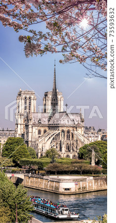 Paris, Notre Dame cathedral with boat on Seine during spring time in France 73593632