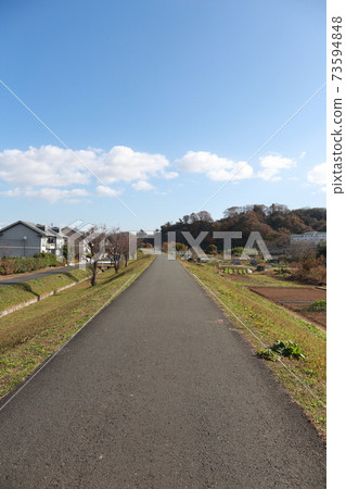 鄉村小路 73594848