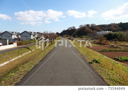 堤防道路 堤防道路 73594849