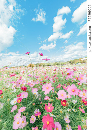 濱松市濱名湖花園公園宇宙場 濱松市濱名湖花園公園宇宙場 73596093