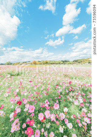 濱松市濱名湖花園公園宇宙場 濱松市濱名湖花園公園宇宙場 73596094