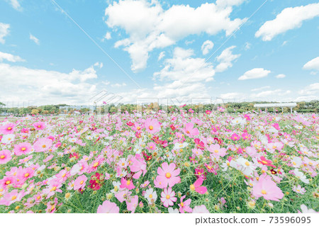 濱松市濱名湖花園公園宇宙場 濱松市濱名湖花園公園宇宙場 73596095