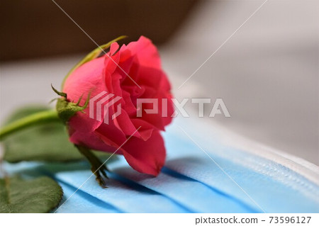 Close up of a pink rose on a surgical mask 73596127